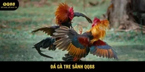 Đá Gà Tre